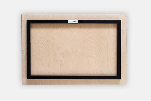 Eurasian wigeon female Anasmereca penelope Metal print