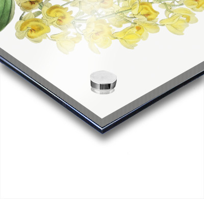 Dense flowered dendrobiumfrom Edwards Botanical Register 1829-1847  by Sydenham Edwards John Lindley and James Ridgway.  Acrylic printing