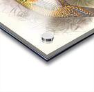 Meleagris ocellata. 1872 Acrylic print