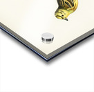 Yellowhammer male Emberiza citrinella Acrylic print