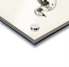 Harelda Hyemalis Acrylic print