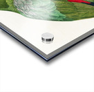 Red-and-blue amazon  Acrylic print