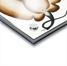 Sea-Eagle Raja Aquila Acrylic print