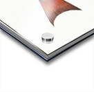 Lutian Lutianus Lutianus Acrylic print