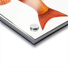 Orf Cyprnus Orfus Acrylic print