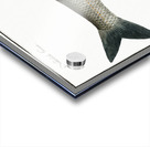 Dobula Cyprinus Dobula Acrylic print