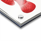 Hind Perca Guttata Acrylic print