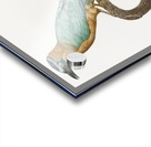 Young motmot  Acrylic print