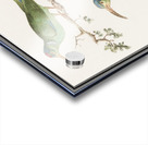 Sunbirds in vintage style Acrylic print