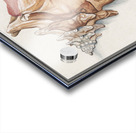 Swan in vintage style Acrylic print