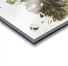 Canada Pouched Rat Pseudostoma bursarius  Acrylic print