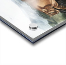 Cougar Felis concolor  Acrylic print