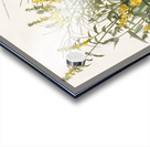 Meadow Lark Acrylic print