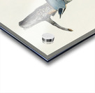 Red-breasted Nuthatch Acrylic print