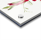 Cannas and Cypress Vine Canna species and Ipomoea quamoclit 1877 Acrylic print