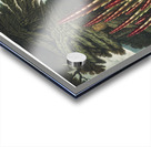 The Maggot–Bearing Stapelia Acrylic print