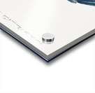 Cucule celeste della China Cuckoo Acrylic print