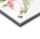 Vintage rosebush Acrylic print