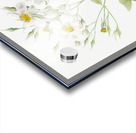 Vintage musk rose Acrylic print