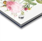 Pink rose in bloom Acrylic print