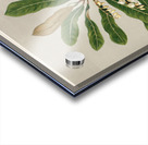 Sarah Featon 009 Acrylic print