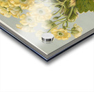 Sarah Featon 032 Acrylic print