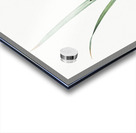 Yellow iris illustration  Acrylic print