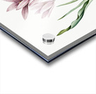 Autumn crocus illustration  Acrylic print