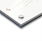 Wild Onion illustration  Acrylic print