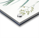 Sandbog death camas illustration  Acrylic print