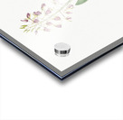 Brown widelip orchid illustration  Acrylic print