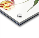 African flag illustration  Acrylic print