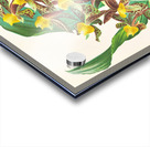 Catasetum rodigasianum Acrylic print