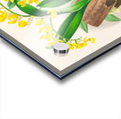 Oncidium warscewiczi Acrylic print