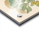 Pentandria Mon. [Pittosporum viridiflorum] 1817 Acrylic print