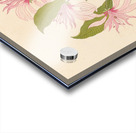 Calodendrum capense 1817 Acrylic print