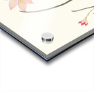 1. Zephyranthes Carinatus. 2. Zephyranthes Rosea. 1834 Acrylic print