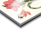 Amaryllis Purpurea Major 1834 Acrylic print