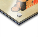 Mong-Shóng-Sha Bending Willow Wife of Great Chief 1832 Acrylic print