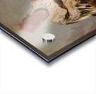 No-Wáy-Ke-Súg-Gah He Who Strikes Two At Once a Brave 1832 Acrylic print