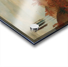 The Last Race Mandan O-Kee-Pa Ceremony 1832 Acrylic print