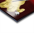 Nao Deixemos o Eixo Meter as Garras nas Américas Acrylic print