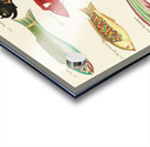 Colourful and surreal illustrations of fishes found in Moluccas Indonesia and the East Indies by Louis Renard 1678 -1746 from Histoire naturelle des plus rares curiositez de la mer des Indes 1754. Acrylic print