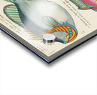 Colourful and surreal illustrations of fishes found in Moluccas Indonesia and the East Indies by Louis Renard 1678 -1746 from Histoire naturelle des plus rares curiositez de la mer des Indes 1754. Acrylic print