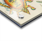 Colourful and surreal illustrations of fishes and lobster found in Moluccas Indonesia and the East Indies by Louis Renard 1678 -1746 from Histoire naturelle des plus rares curiositez de la mer des Indes 1754. Acrylic print