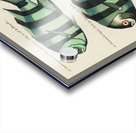 Colourful and surreal illustrations of fishes found in Moluccas Indonesia and the East Indies by Louis Renard 1678 -1746 from Histoire naturelle des plus rares curiositez de la mer des Indes 1754. Acrylic print