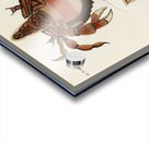 Colourful and surreal illustrations of crabs found in Moluccas Indonesia and the East Indies by Louis Renard 1678 -1746 from Histoire naturelle des plus rares curiositez de la mer des Indes 1754. Acrylic print