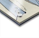 Antique fish Crested Bandfish South Pacific Fishes by Frank Edward Clarke 1849-1899.  Acrylic print