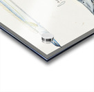 Antique fish Benthodesmus Elongatus South Pacific Fishes by Frank Edward Clarke 1849-1899.  Acrylic print