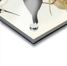 New Zealand Stilt Himantopus Novae-Zelandiae illustrated by Elizabeth Gould 1804–1841 for John Gould’s 1804-1881 Birds of Australia  Acrylic print